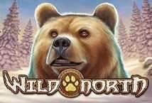 Wild North slot